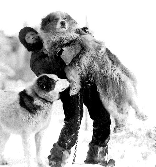 Leonard Duncan Albert Hussey (18911964) Biographical notes